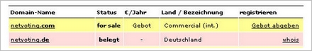 netvoting1