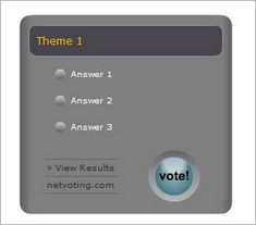 netvoting3