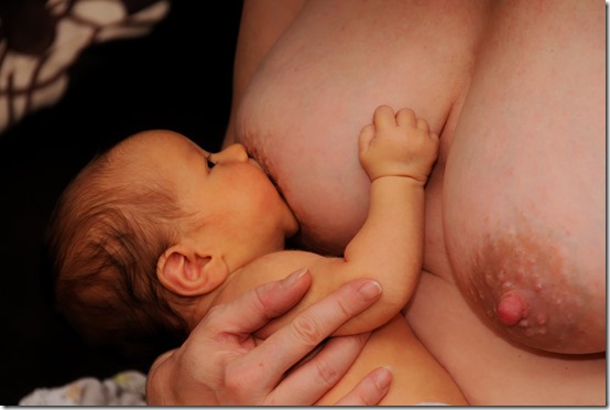 breastfeeding-841506_1920