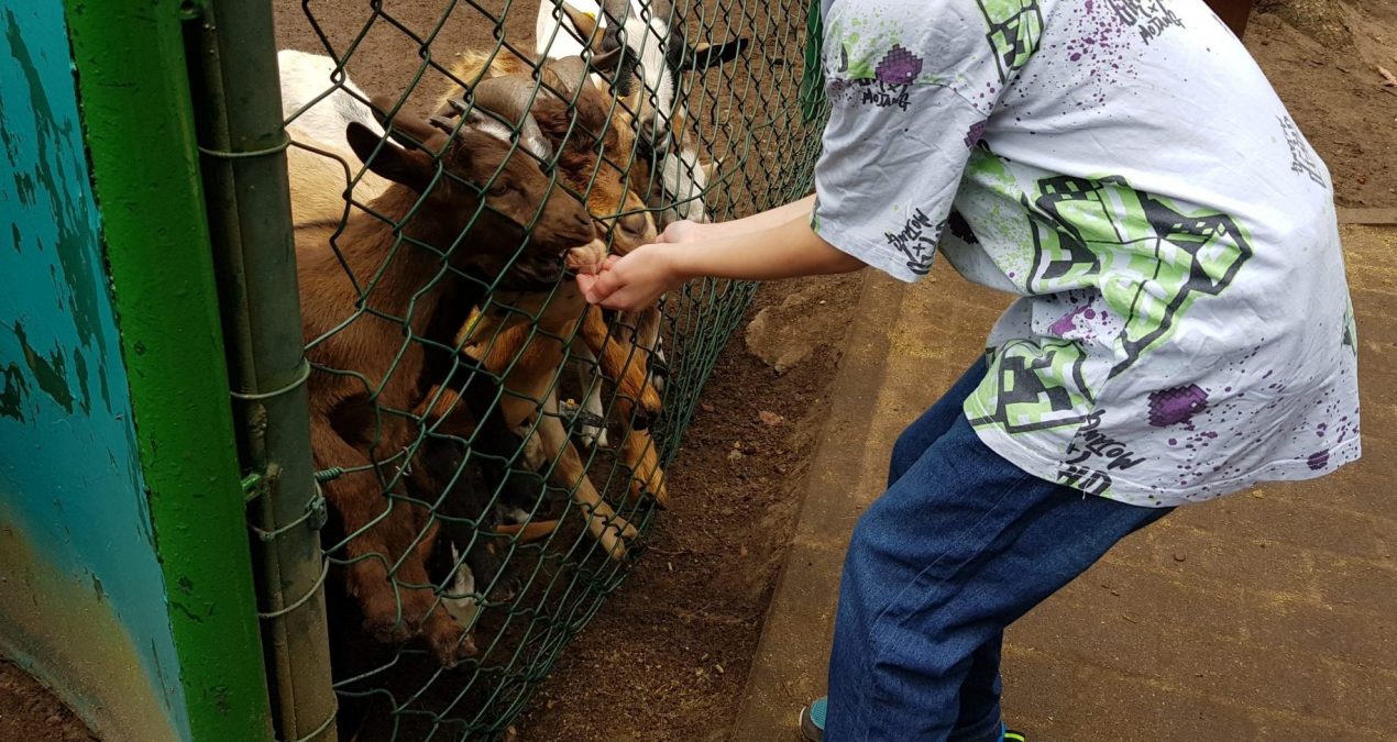 Unsere Sommerferien Teil 2